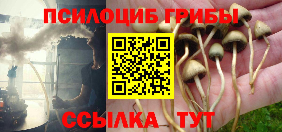 Сланцы  Псилоцибиновые грибы прущие грибы  Вход с VPN 